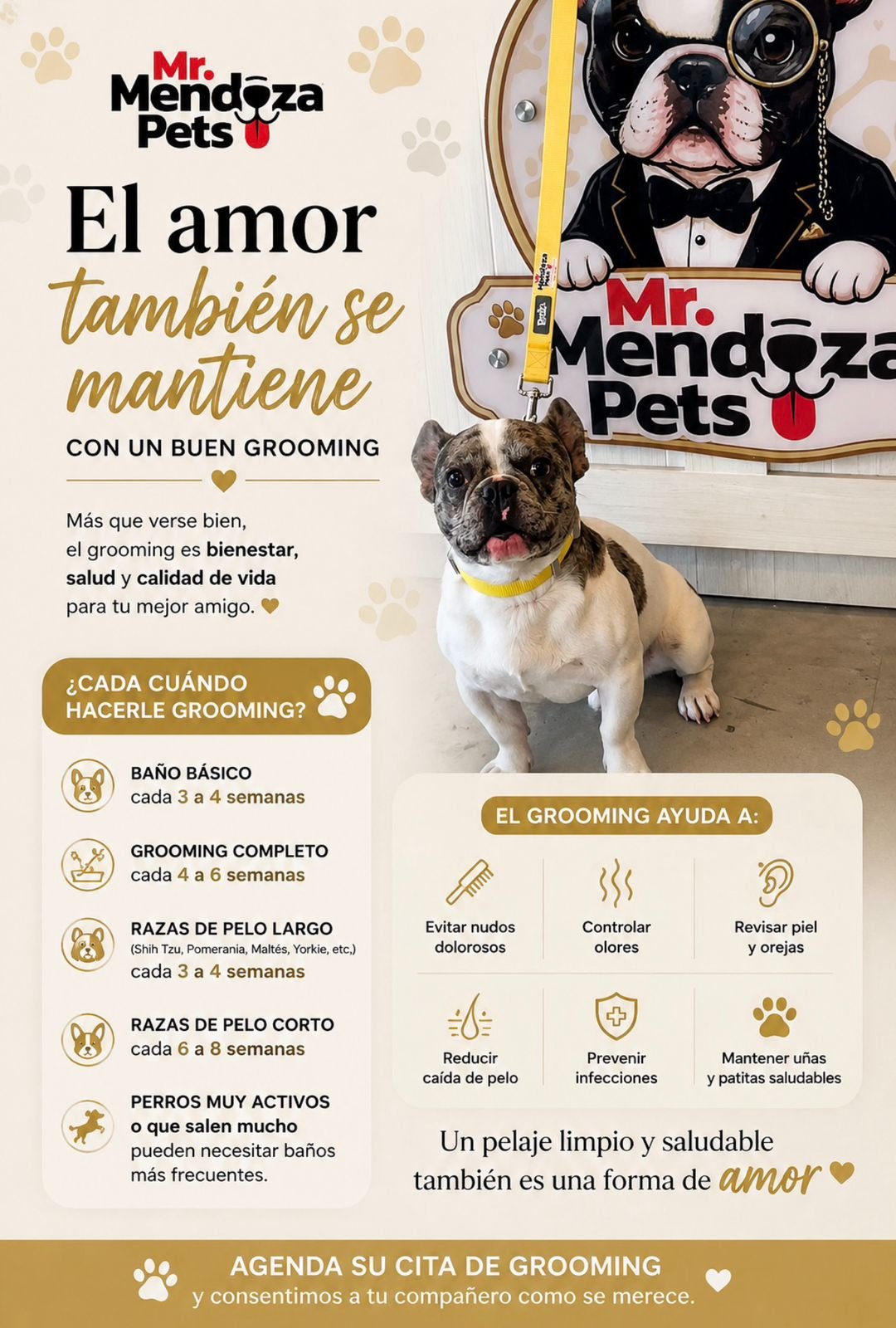 El amor también se mantiene con un buen Grooming en Mr Mendoza Pets